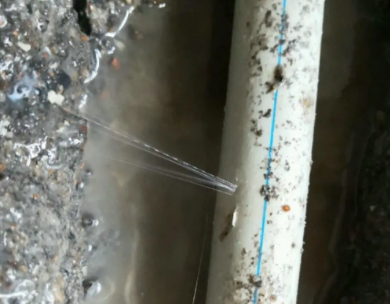 秦皇岛测漏水哪家好